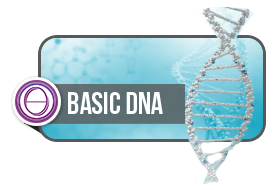 ThetaHealing® Basic DNA